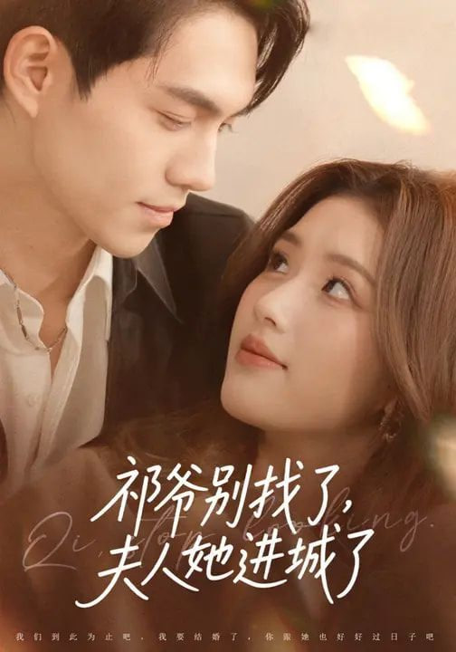祁爷别找了，夫人她进城了封面图