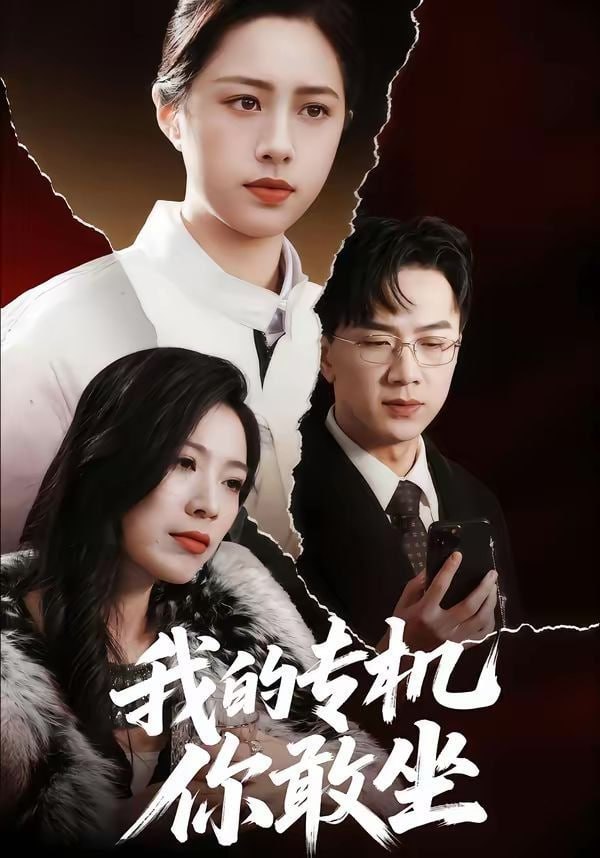 我的专机你敢坐封面图