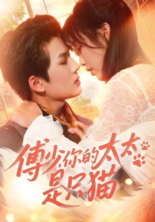 傅少，你的太太是只猫封面图
