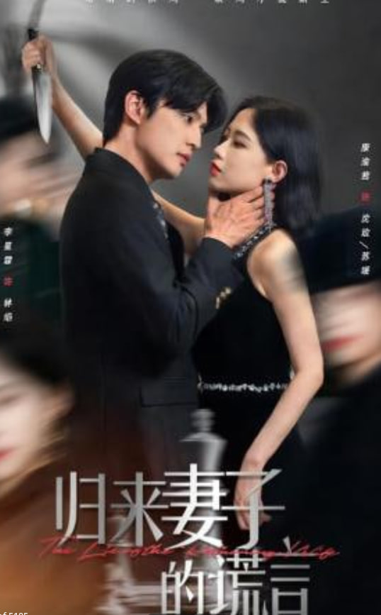 归来妻子的谎言封面图