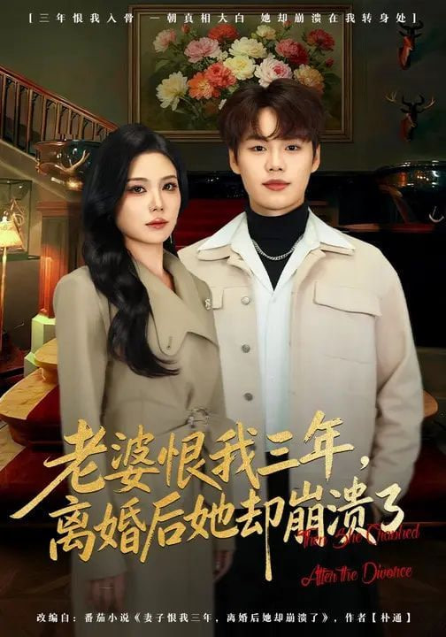 老婆恨我三年，离婚后她却崩溃了封面图