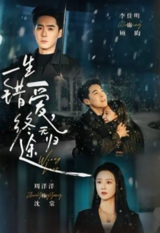 一生错爱，终无归途封面图