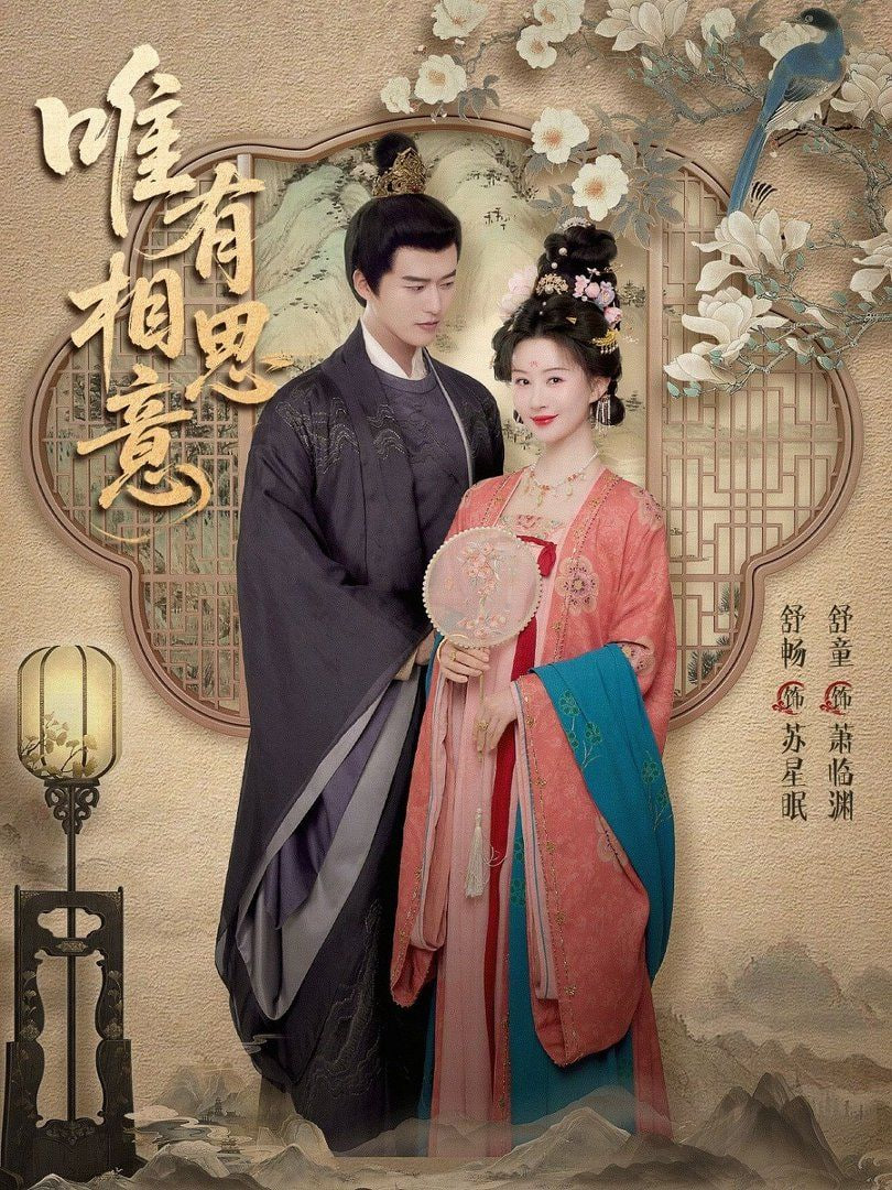 唯有相思意封面图