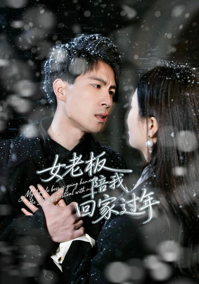 女老板陪我回家过年封面图