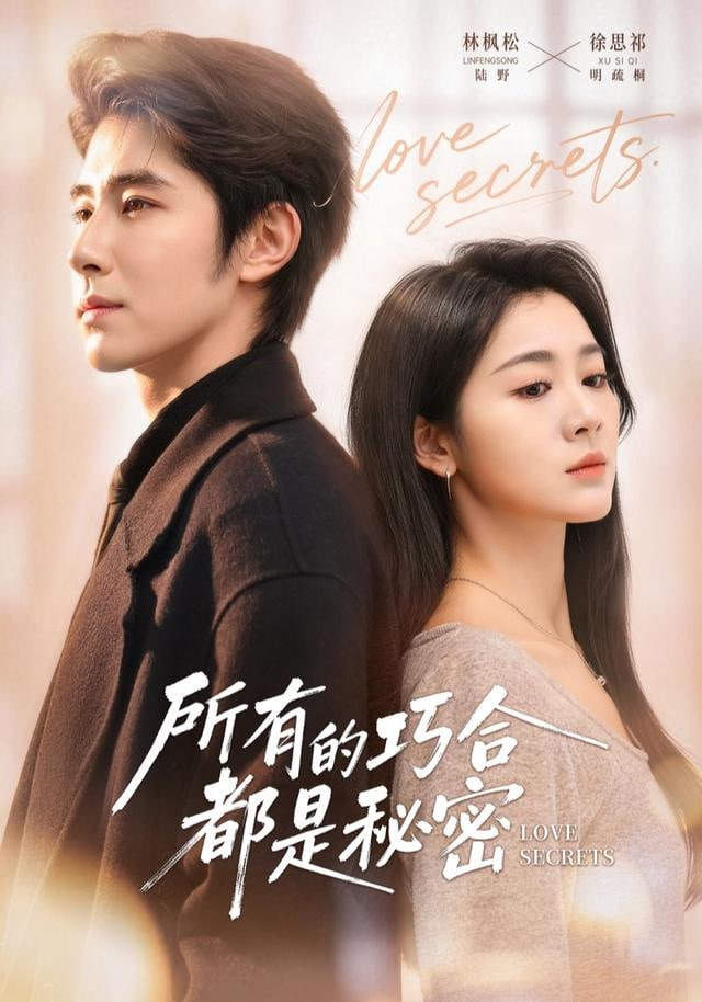 所有的巧合都是秘密（陆总夫人她只想离婚）封面图