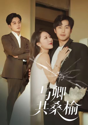 与卿共桑榆封面图