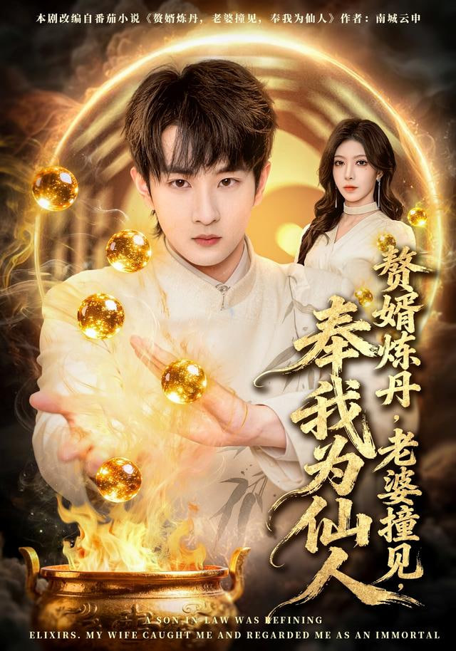 赘婿炼丹，老婆撞见，奉我为仙人封面图