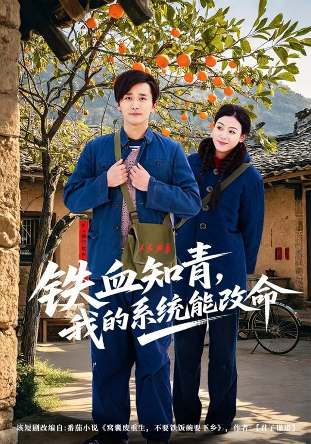 铁血知青，我的系统能改命封面图