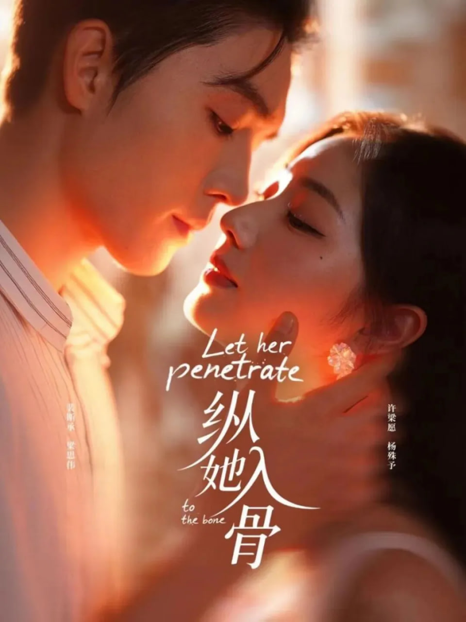 纵她入骨封面图