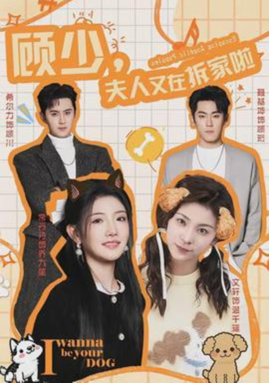 顾少，夫人又在拆家啦封面图