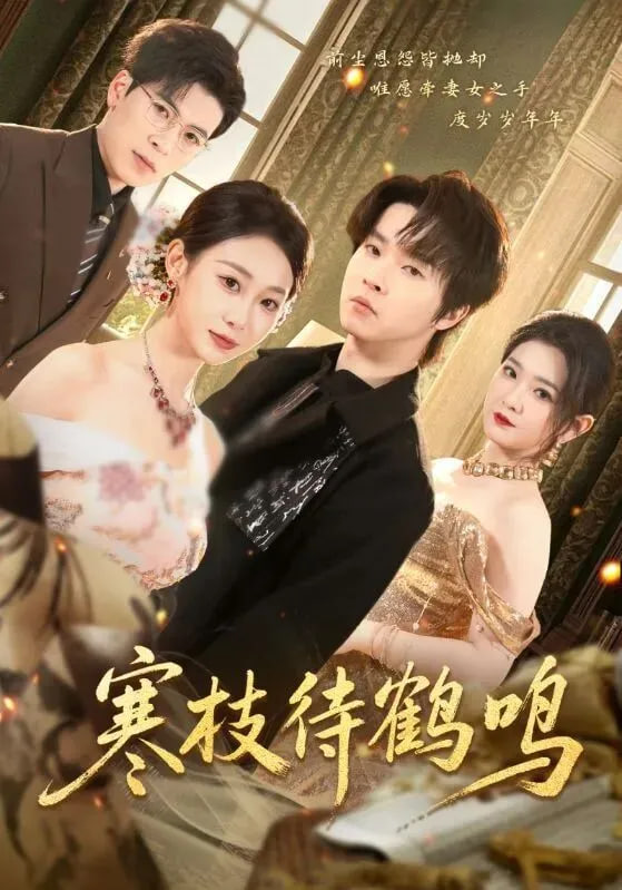 寒枝待鹤鸣封面图