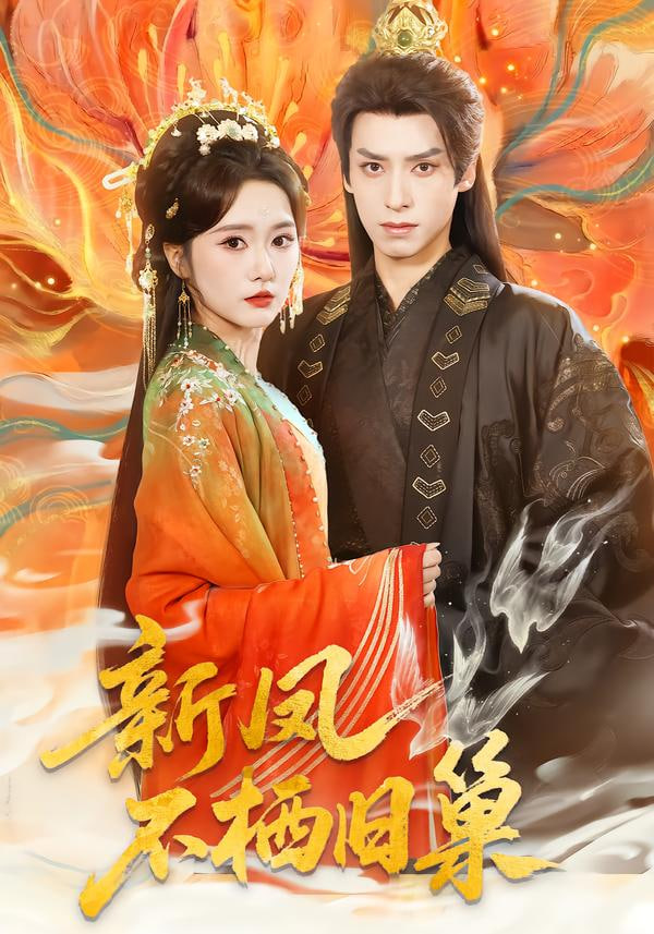 新凤不栖旧巢封面图