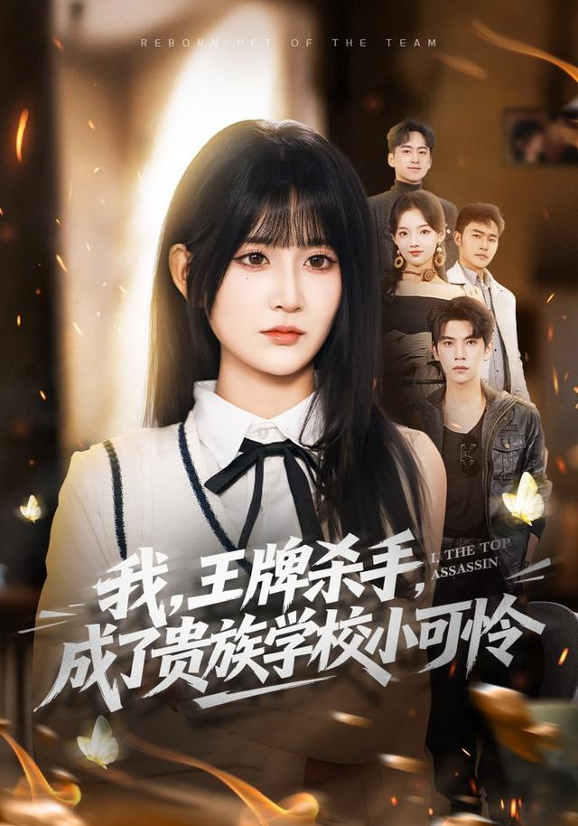我，王牌杀手，成了贵族学校小可怜（我王牌杀手成了贵族学校小可怜）封面图