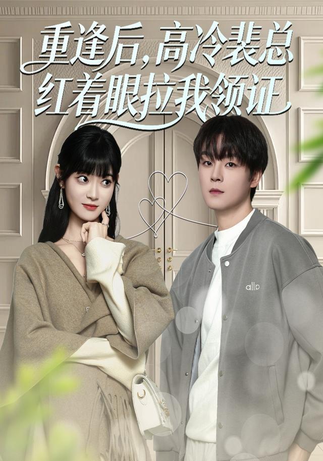 重逢后，高冷裴总红着眼拉我领证封面图