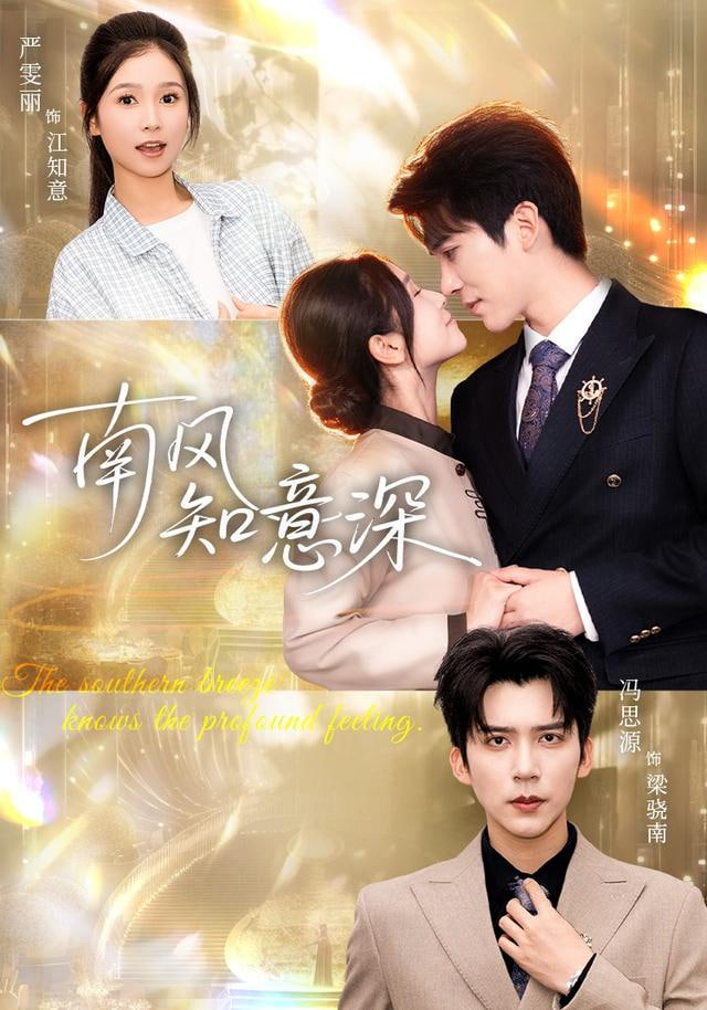 南风知意深封面图