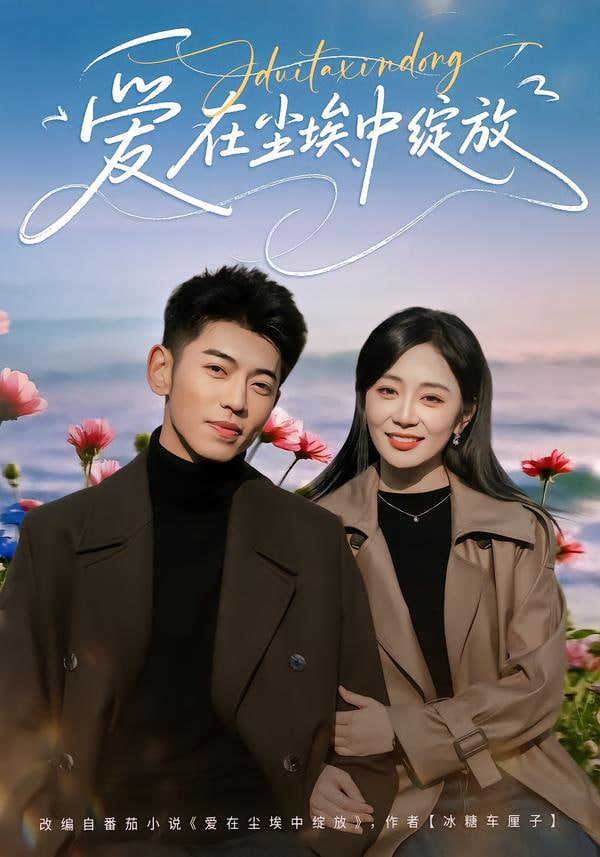 爱在尘埃中绽放封面图