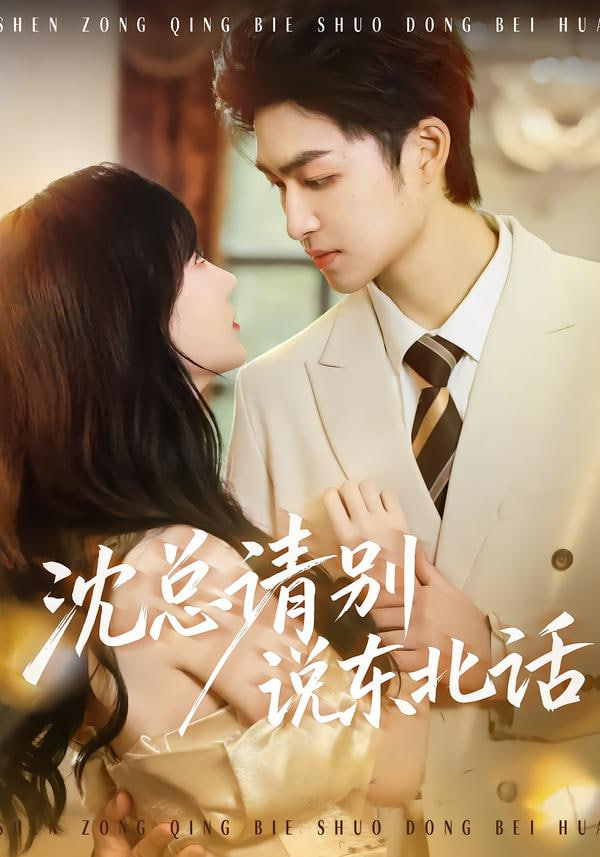 沈总请别说东北话封面图