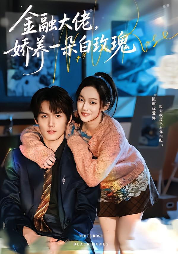 金融大佬，娇养一朵白玫瑰封面图