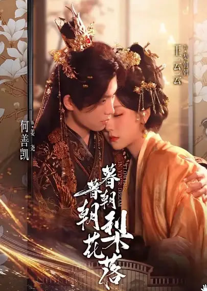 暮暮朝朝梨花落封面图