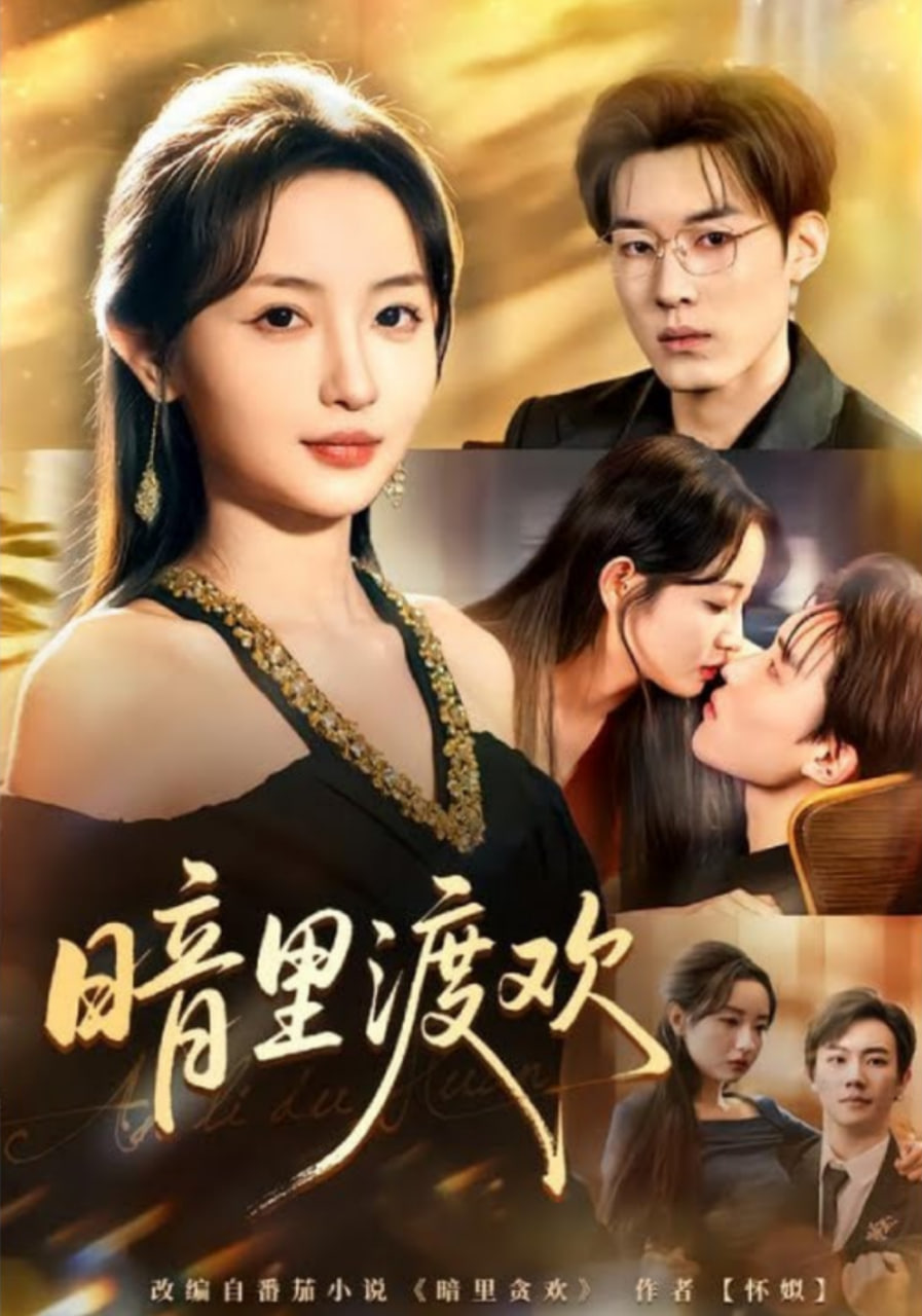 暗里渡欢封面图