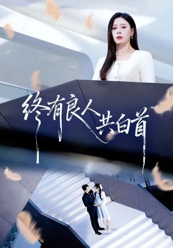 终有良人共白首封面图