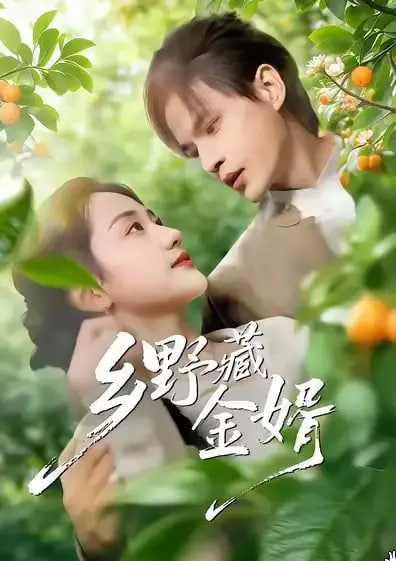 乡野藏金婿封面图