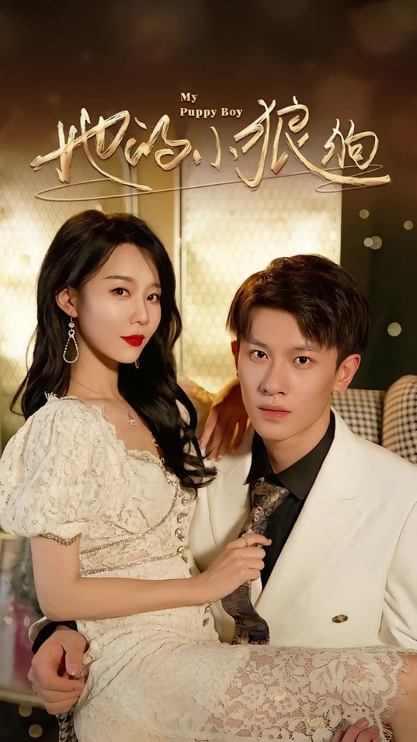 她的小狼狗（灿烂的风）封面图