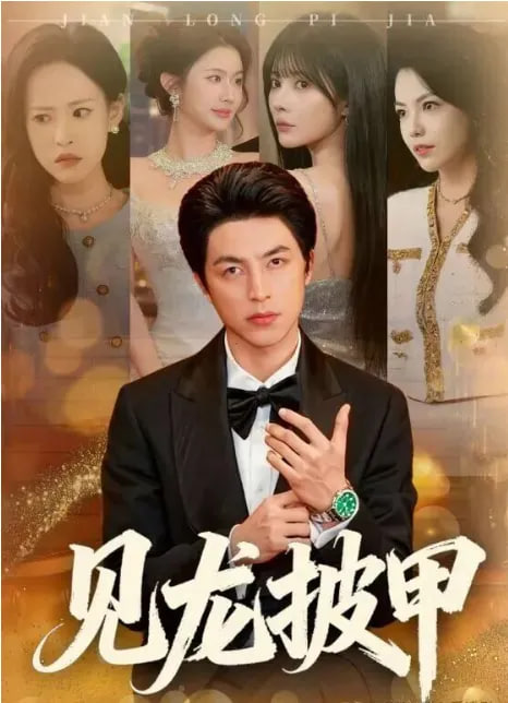 见龙披甲封面图