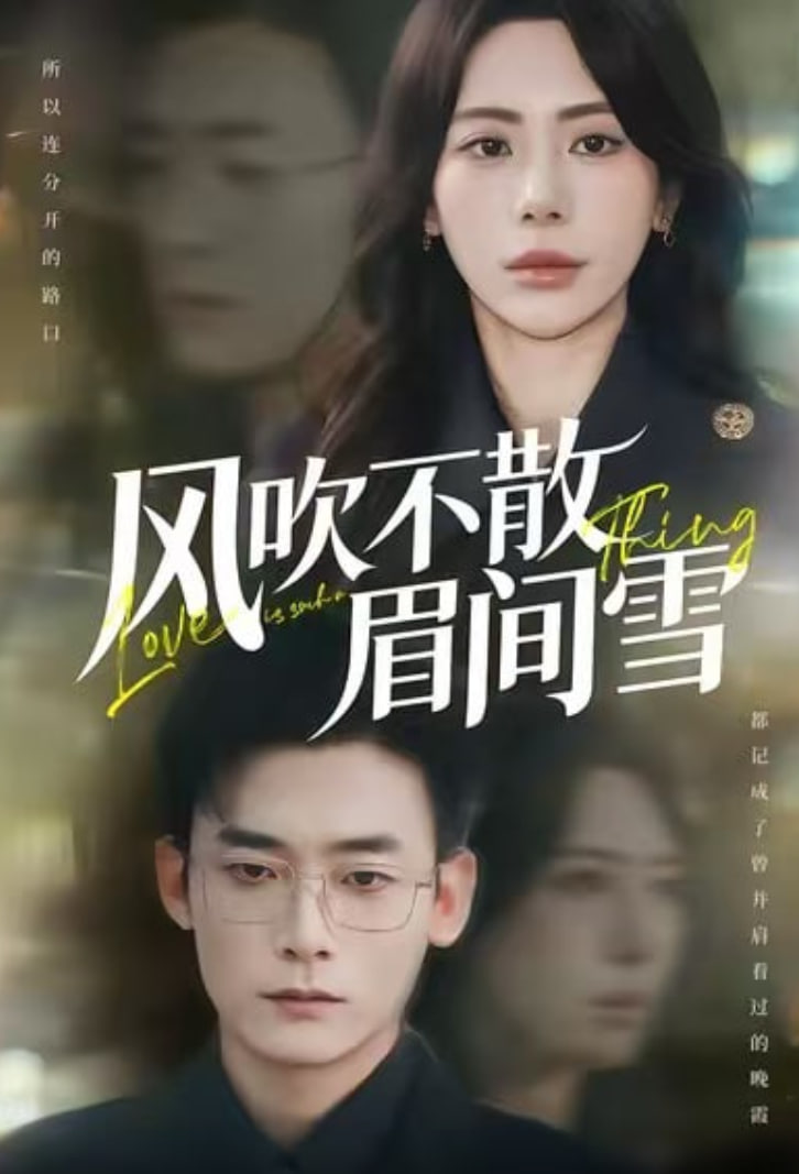 风吹不散眉间雪封面图