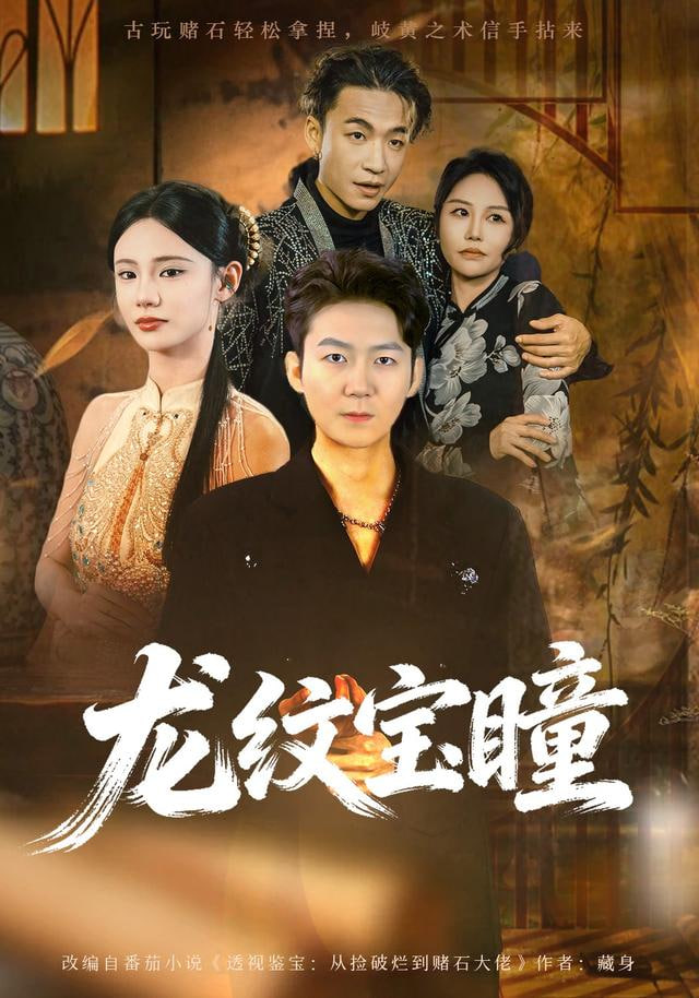 龙纹宝瞳封面图