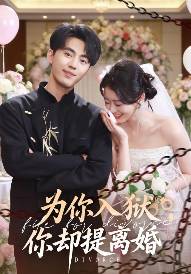 为你入狱，你却提离婚封面图
