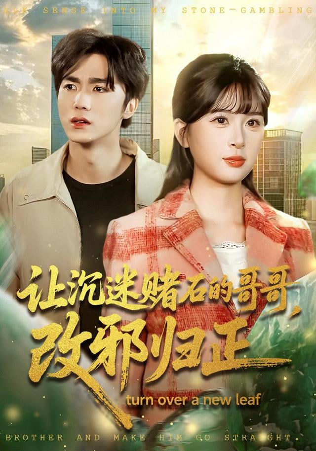 让沉迷赌石的哥哥，改邪归正封面图