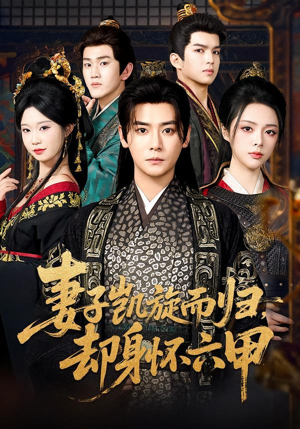 妻子凯旋而归，却身怀六甲封面图