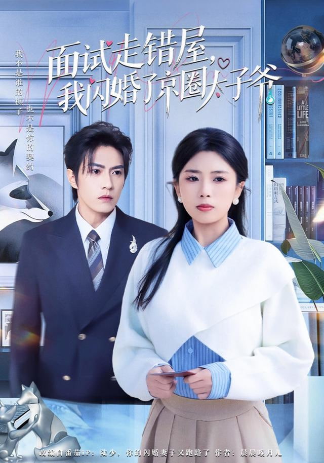 面试走错屋，我闪婚了京圈太子爷封面图