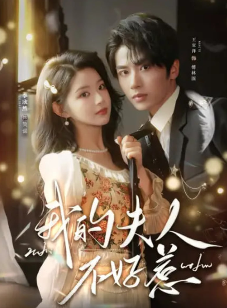 你好我的旅长夫人 (我的夫人不好惹)封面图