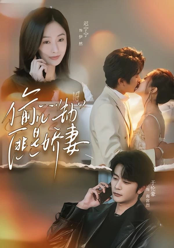 偷心劫匪是娇妻封面图