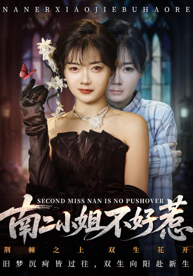 南二小姐不好惹封面图