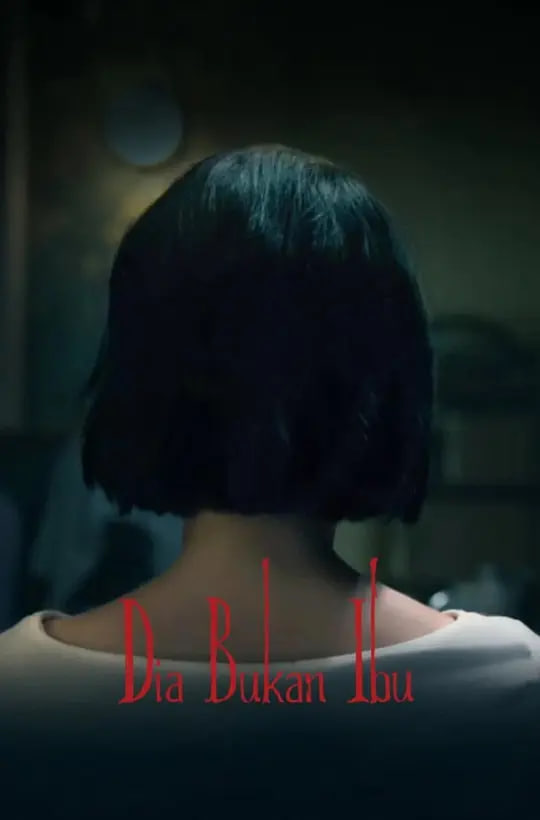 她不是我妈妈封面图