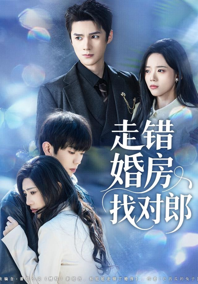 走错婚房找对郎封面图