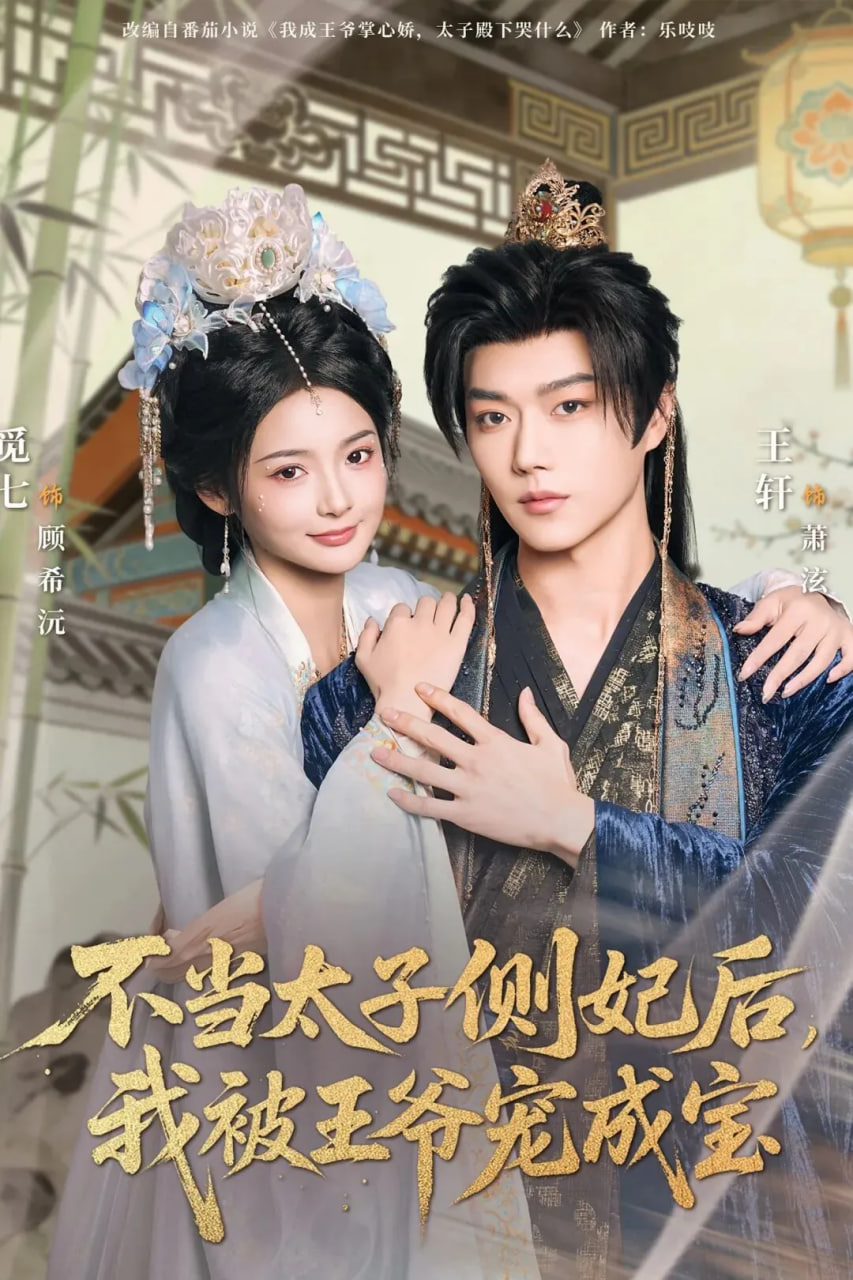 不当太子侧妃后，我被王爷宠成宝封面图