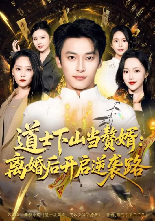 道士下山当赘婿封面图