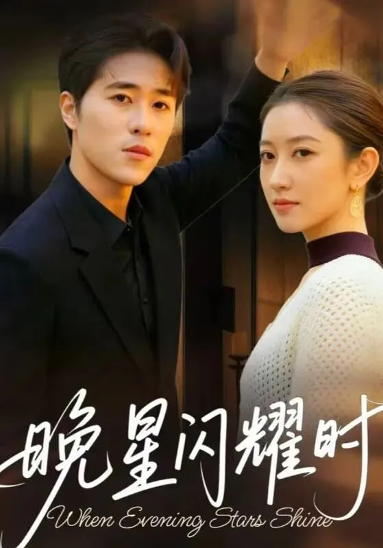 晚星闪耀时封面图
