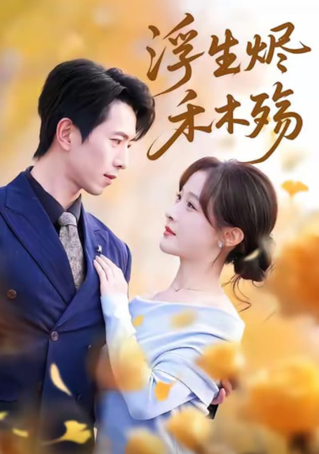 浮生烬禾木殇（雾漫青衫沾白露）封面图