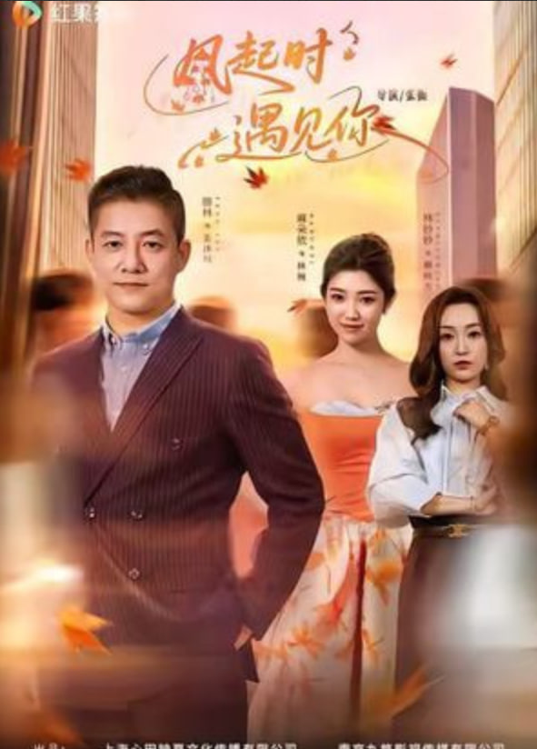 风起时遇见你封面图