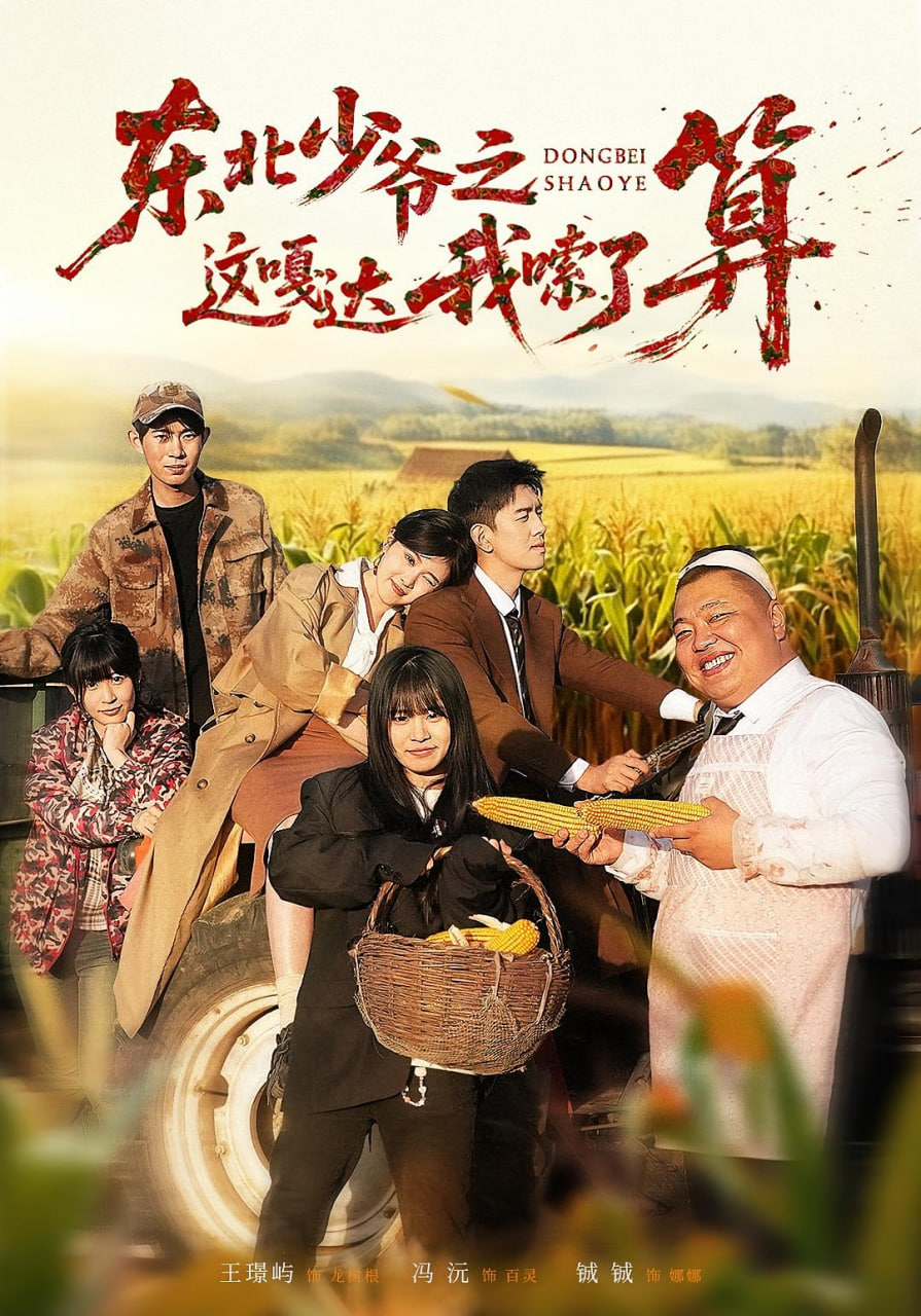 东北少爷之这嘎达我嗦了算封面图