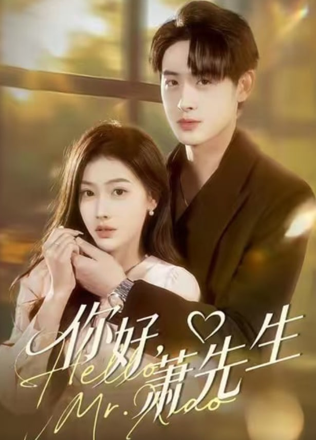 你好，萧先生封面图