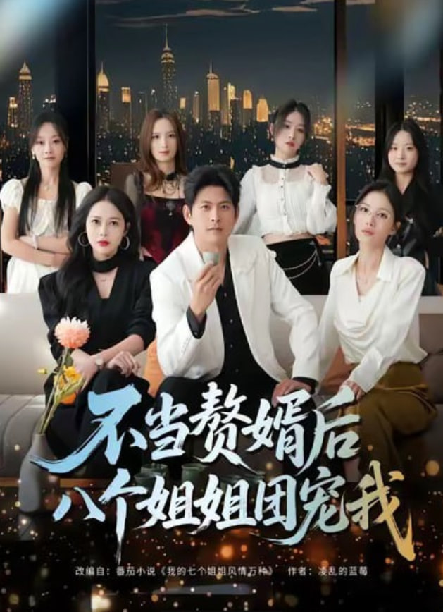 不当赘婿后八个姐姐团宠我封面图