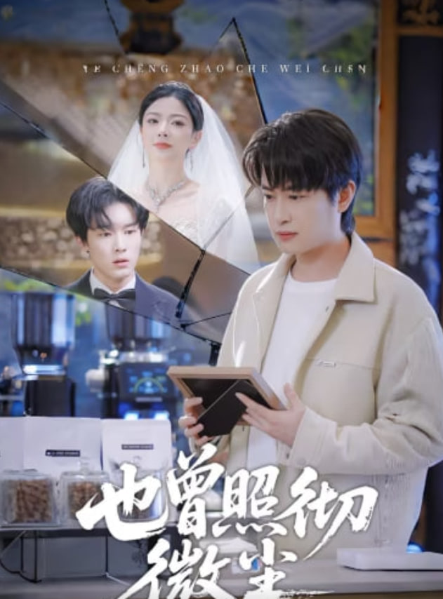 也曾照彻微尘封面图