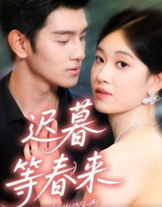 迟暮等春来封面图