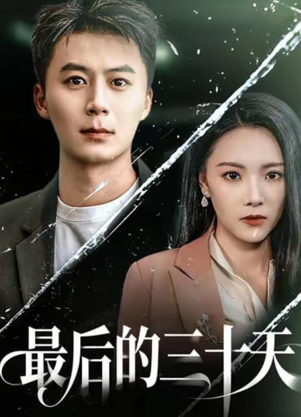 最后的三十天封面图